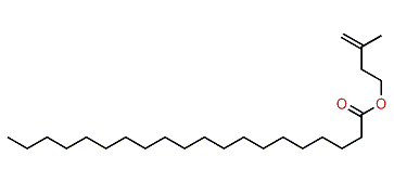 3-Methyl-3-butenyl eicosanoate